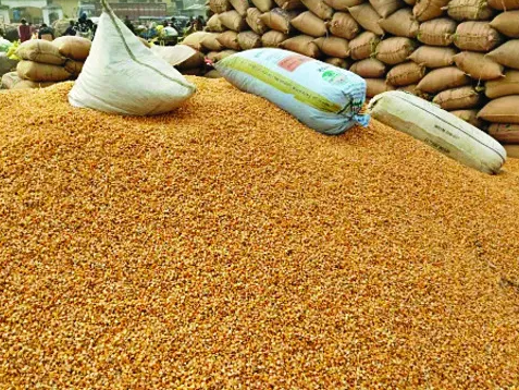 కొనుగోలు కేంద్రం లేక తీవ్ర ఇబ్బందులు