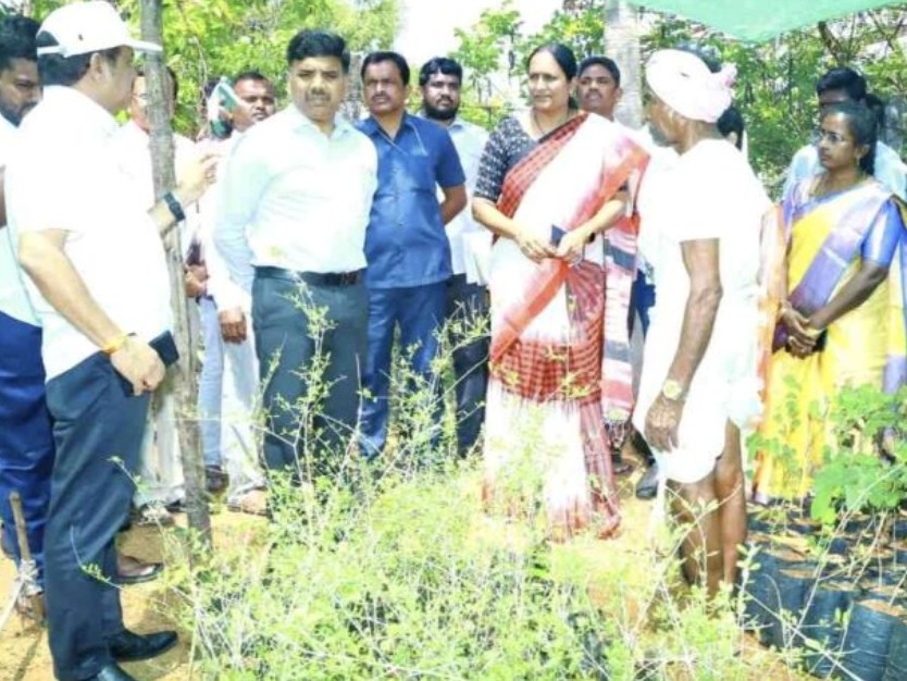 అడ్లూరు, వల్లాల గ్రామాల్లో కలెక్టర్ పర్యటన