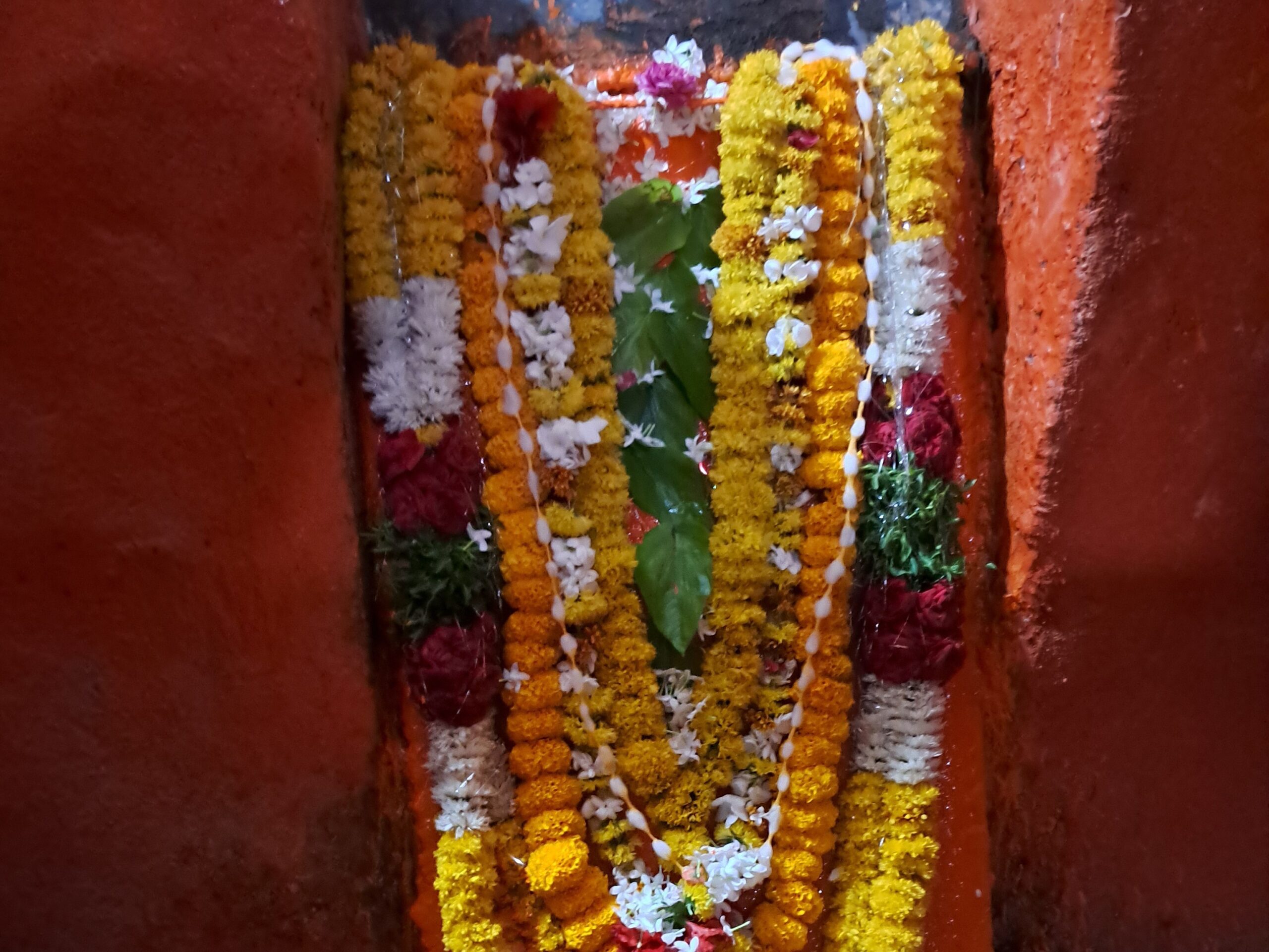 కంగ్టిలో హనుమాన్ జయంతి పౌర్ణమి వేడుకలు