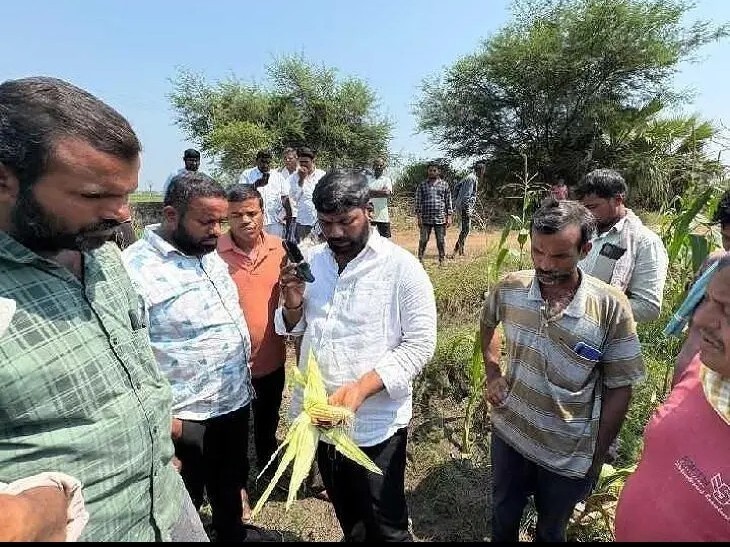 పంటలను పరిశీలించిన మున్సిపల్ ఛైర్మన్