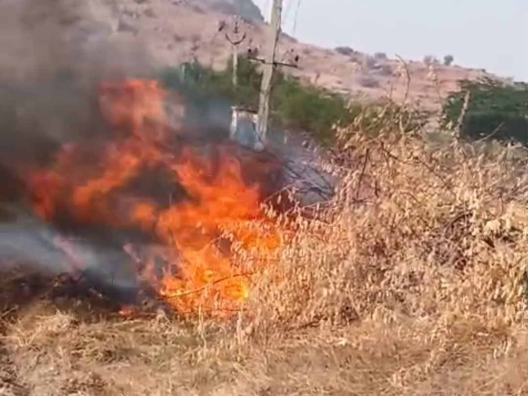 పొలం గట్లకు గుర్తుతెలియని ఆకతాయిలు నిప్పు