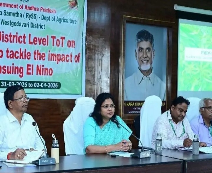 ఎల్నినో ప్రభావంపై అవగాహన అవసరం: కలెక్టర్