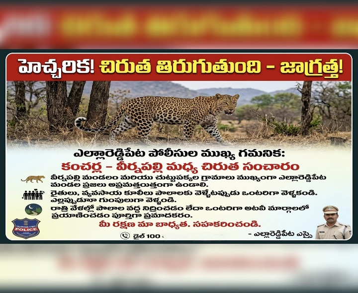 వీర్నపల్లి-కంచర్ల గ్రామంలో పులి సంచారం..!