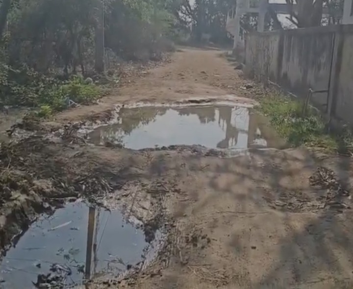 రోడ్డు ఇలా.. వెళ్లేదేలా!