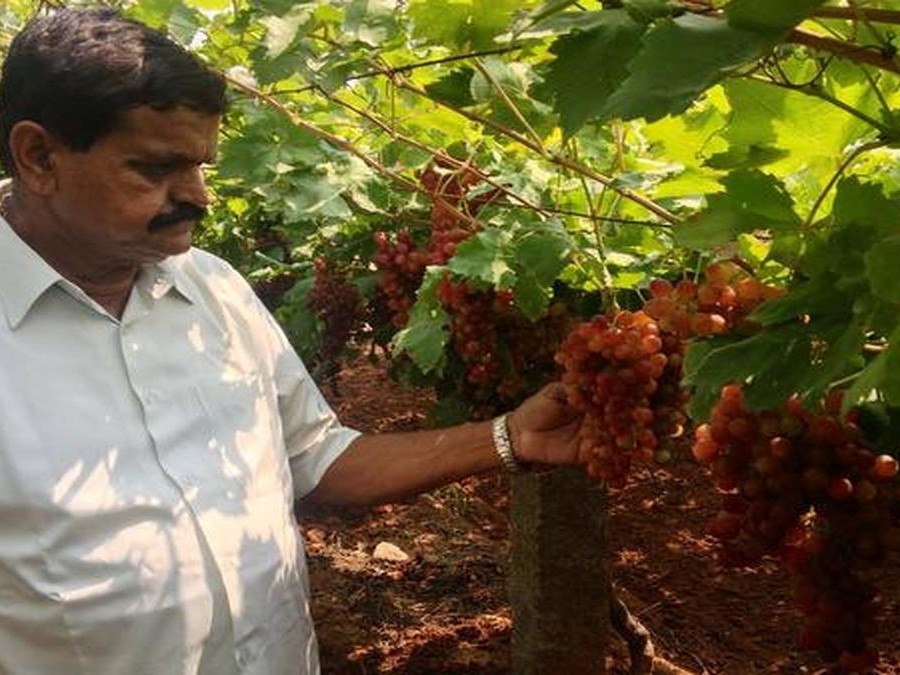 అంతర్జాతీయ పేటెంట్ పొందిన తొలి రైతుగా అల్వాల్ రైతు