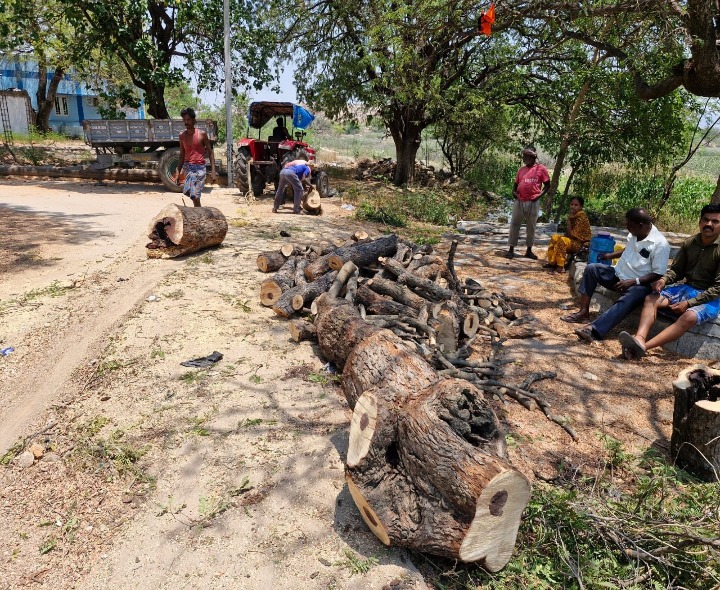 మదనపల్లె బెస్తపల్లిలో చెట్ల నరికివేతపై ఆగ్రహం