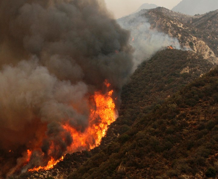 నల్లమల అటవీప్రాంతంలో కార్చిచ్చు