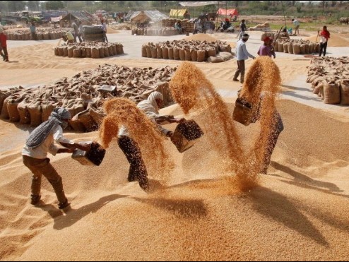 నేటి నుంచి ధాన్యం కొనుగోళ్లు