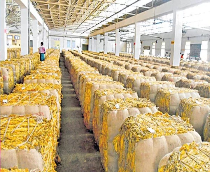 ఆందోళనలో పొగాకు రైతులు.. ఆదుకునేదెవరు