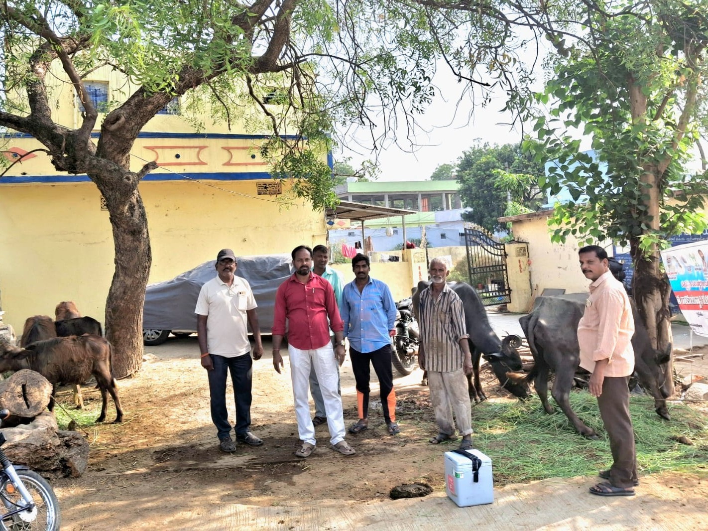 గాలికుంటు వ్యాధి టీకాలు