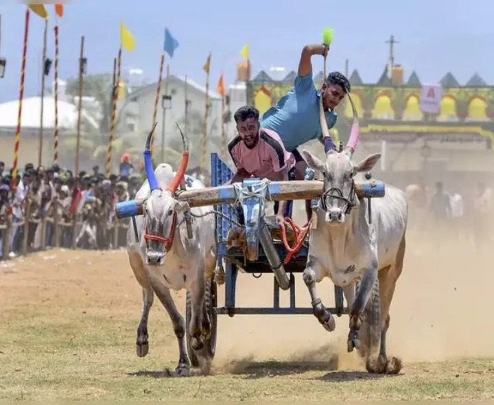 ఈ నెల 6 నుంచి అంతర్రాష్ట్ర బండలాగుడు పోటీలు