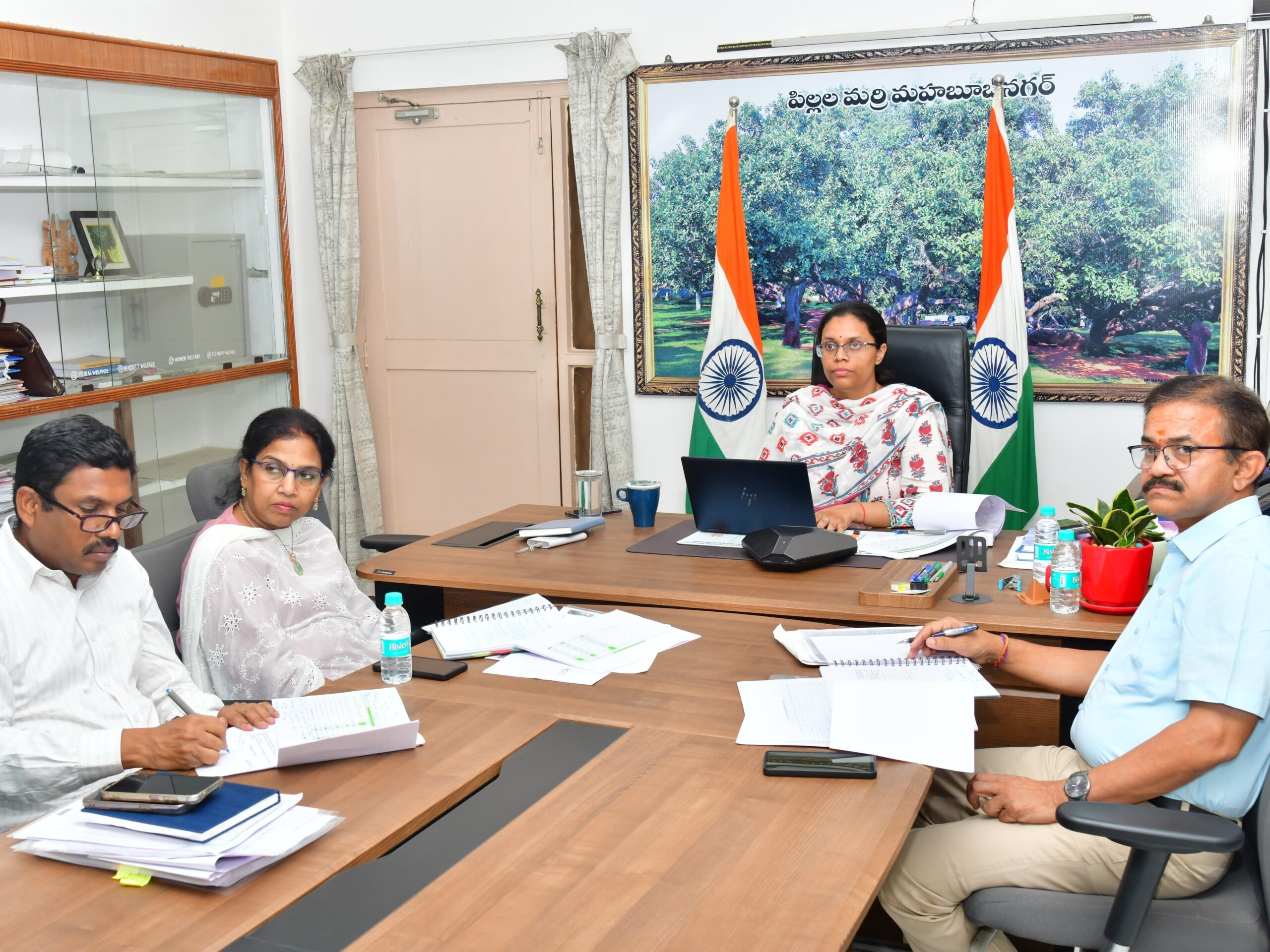 మ్యాపింగ్ ప్రక్రియ పగడ్బందీగా చేపట్టాలి