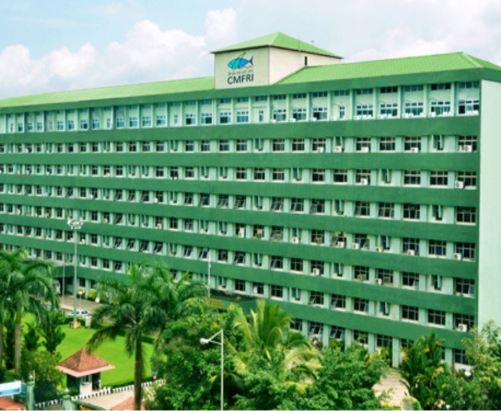 CMFRIలో యంగ్ ప్రొఫెషనల్ పోస్టులు