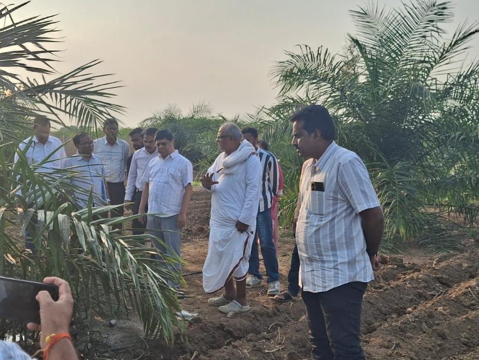 ఆయిల్ పామ్ సాగును ప్రోత్సహించాలి: సురేంద్ర మోహన్