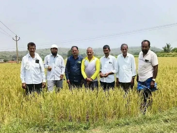 వీర్నపల్లి వ్యాప్తంగా 400 ఎకరాల్లో దెబ్బతిన్న పంట