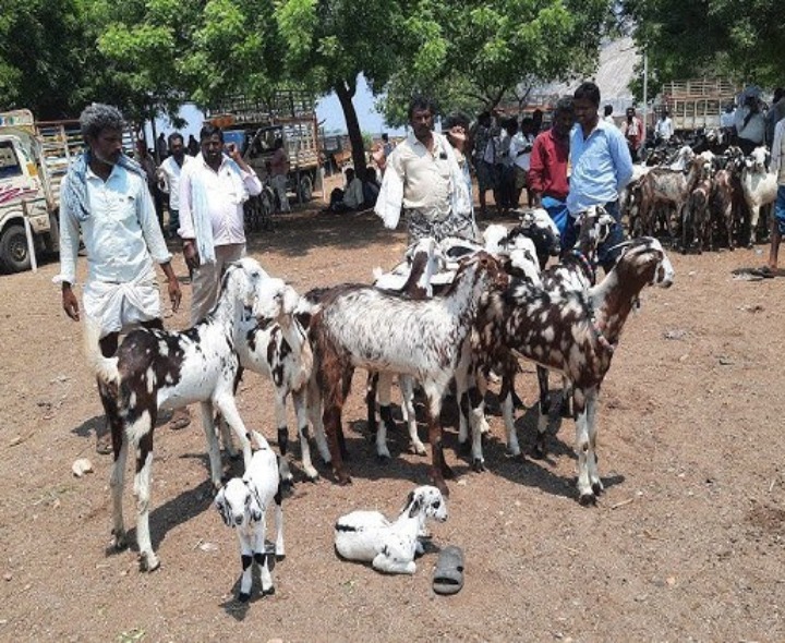 మార్కెట్ యార్డుకు రూ. 3.98 లక్షల ఆదాయం