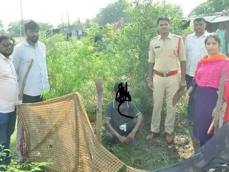 గంజాయి సాగు చేస్తే ప్రభుత్వ పథకాల కోత