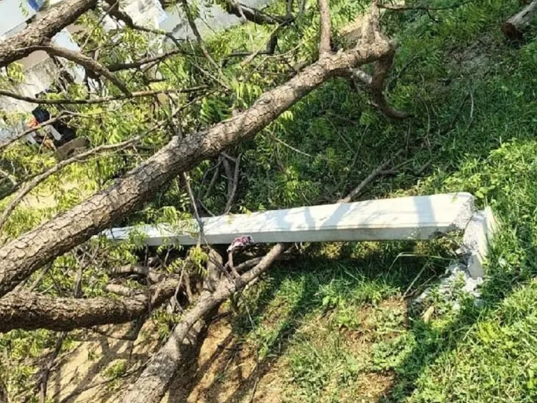 విద్యుత్ శాఖకు రూ.1.20 కోట్లకు పైగా నష్టం