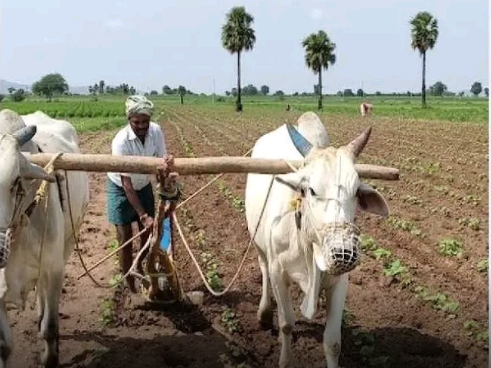 భూసార వలంటీర్లతో లక్ష మంది రైతులకు మేలు!