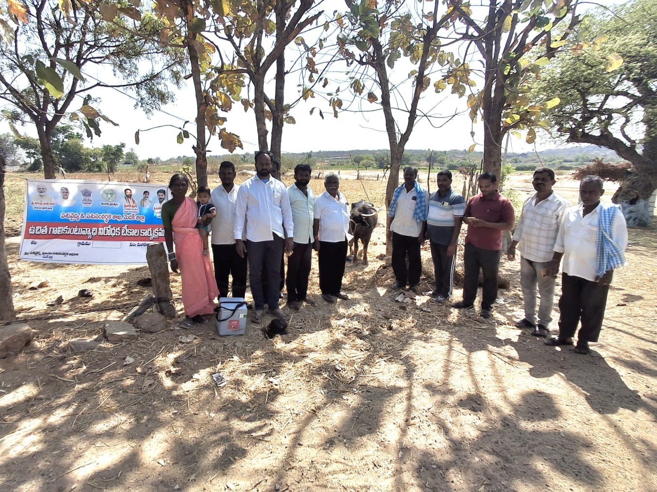 పశువులకు గాలికుంటు వ్యాధి టీకాలు