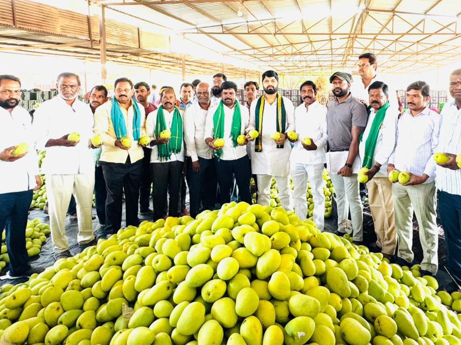 ఇబ్బందులకు గురి చేస్తే కఠిన చర్యలు తప్పవు