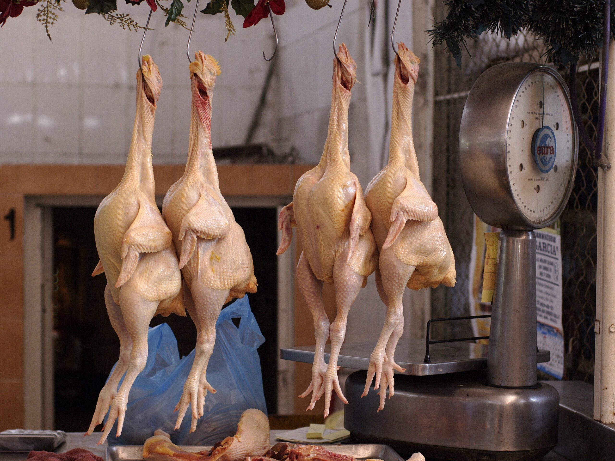 రోజురోజుకీ పెరుగుతున్న చికెన్ ధరలు..