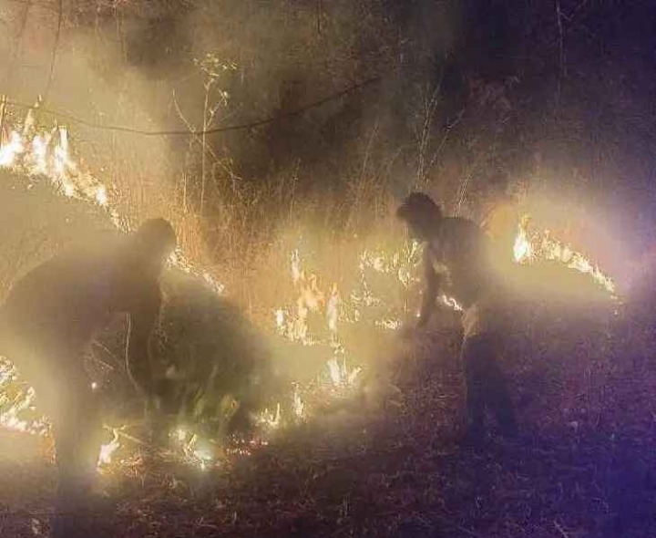 నల్లమల అడవిలో చెలరేగిన మంటలు..!