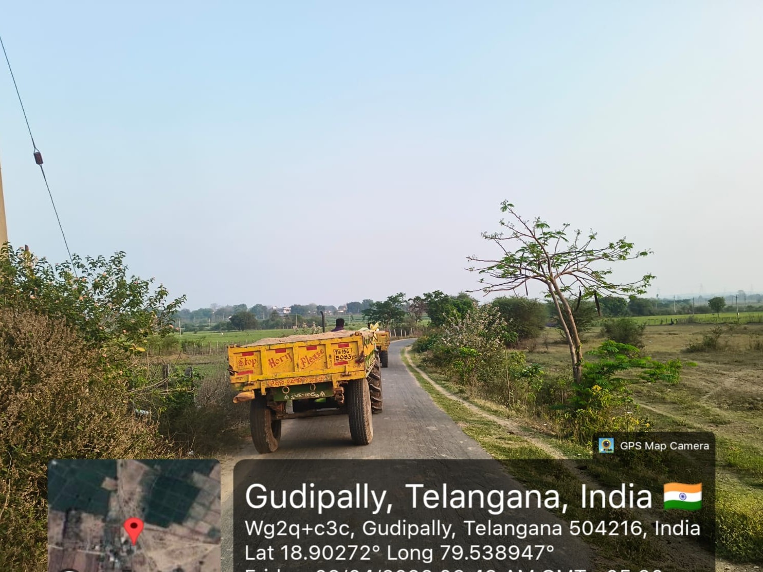 అధికారుల అండతో కలప స్మగ్లింగ్..?