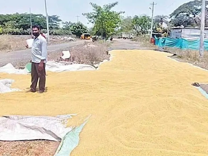 వాతావరణంలో మార్పు.. అన్నదాతల ఆందోళన