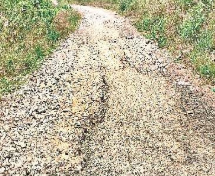 రోడ్డుపై నడవలేక ఇబ్బంది పడుతున్న ప్రజలు