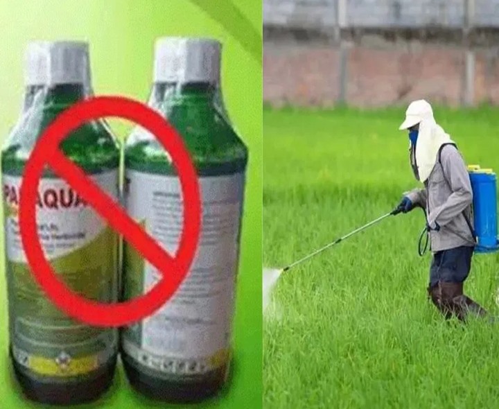 గడ్డిమందుపై నిషేధం.. జీవో 24 విడుదల