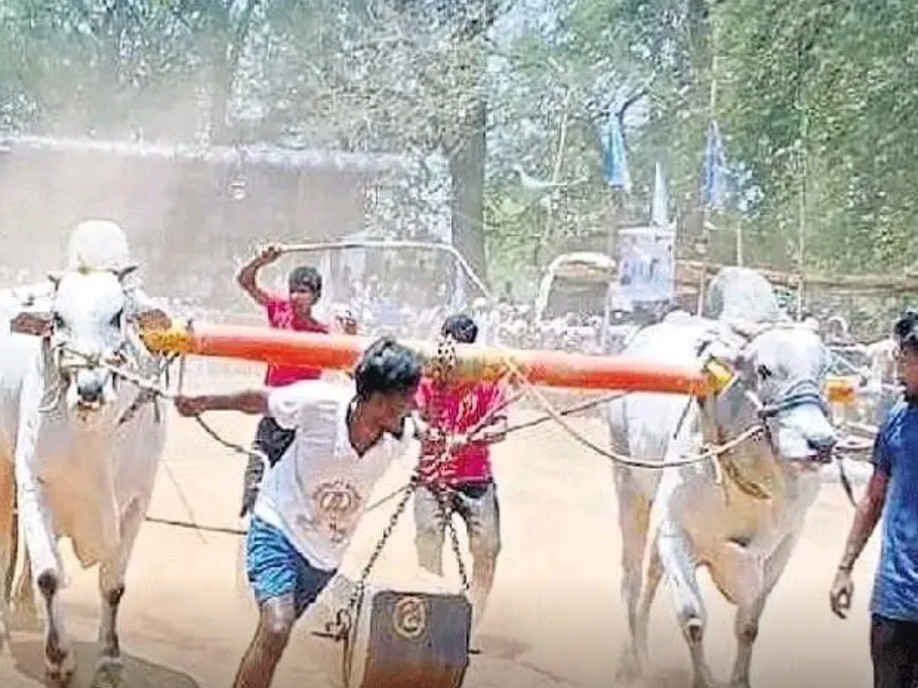 సోళీపూర్లో రాష్ట్రస్థాయి బండలాగుడు పోటీలు