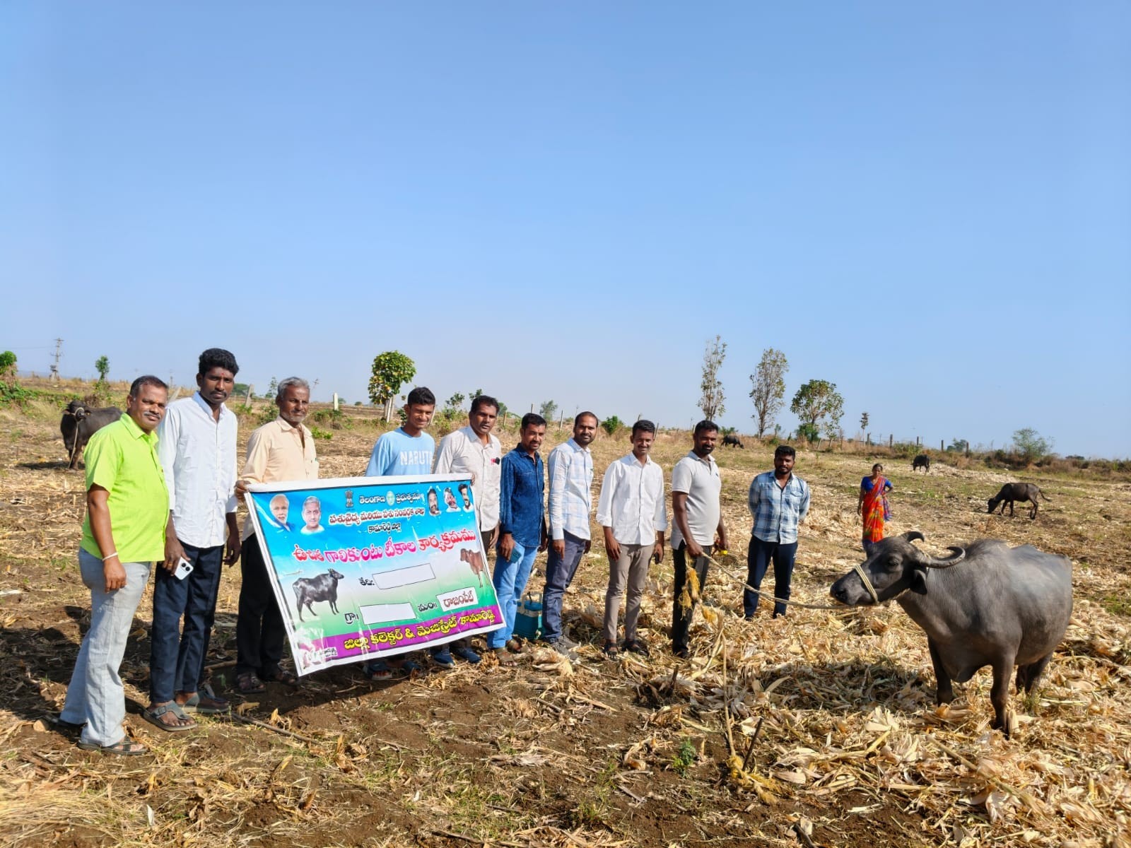 జిల్లాలో పశు వ్యాధి నియంత్రణ కార్యక్రమం