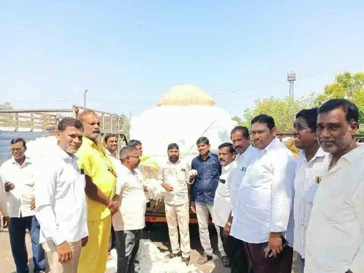 జమ్మికుంట మార్కెట్‌లో నిలకడగా పత్తి ధర