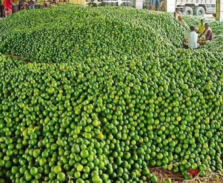 మార్కెట్ యార్డులో భారీగా పెరిగిన నిమ్మ ధరలు