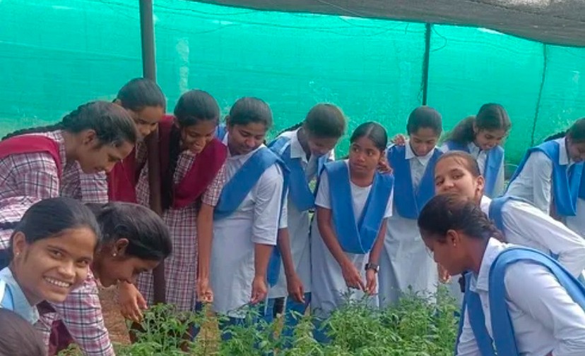 నర్సరీని సందర్శించిన గురుకుల విద్యార్థినిలు