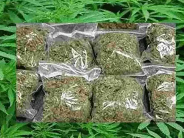 అక్రమ గంజాయి రవాణా.. ముగ్గురు పై కేసు నమోదు