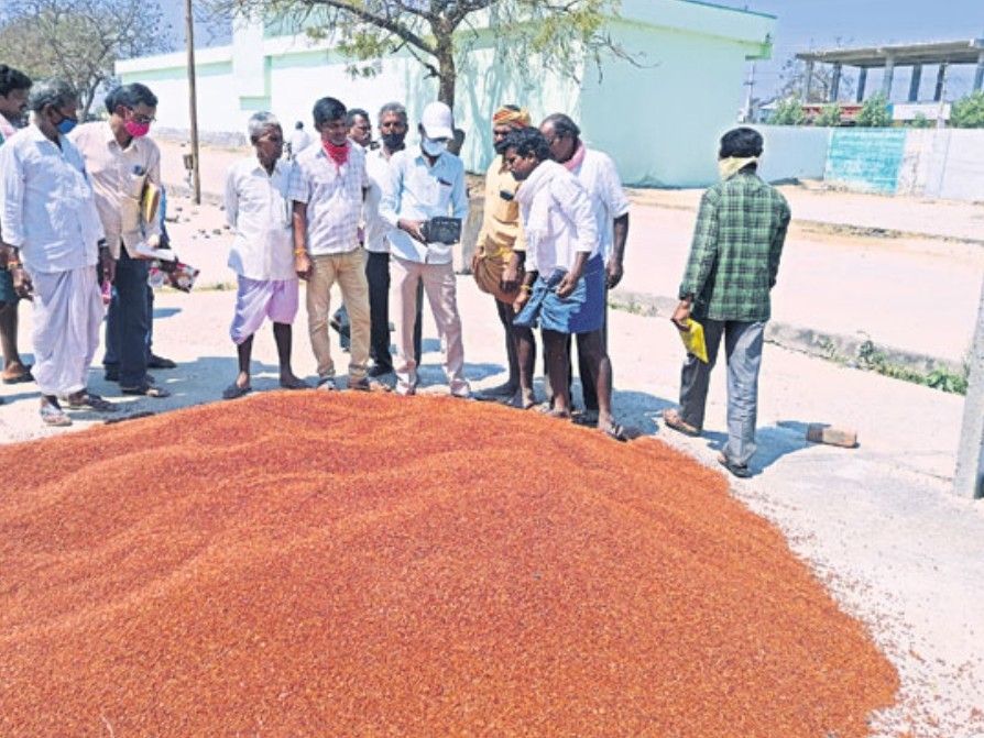 మద్నూర్ మార్కెట్లో పెరిగిన కందుల ధర