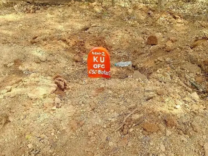 కాకతీయ విశ్వవిద్యాలయం పూర్తి డిజిటలైజేషన్ వేగవంతం