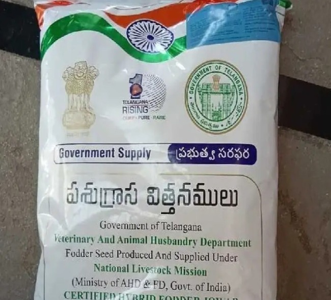 కొడంగల్‌లో సబ్సిడీపై పశుగ్రాస విత్తనాలు