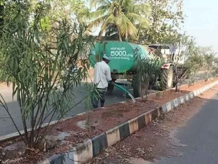 మొక్కలు ఎండిపోకుండా చర్యలు