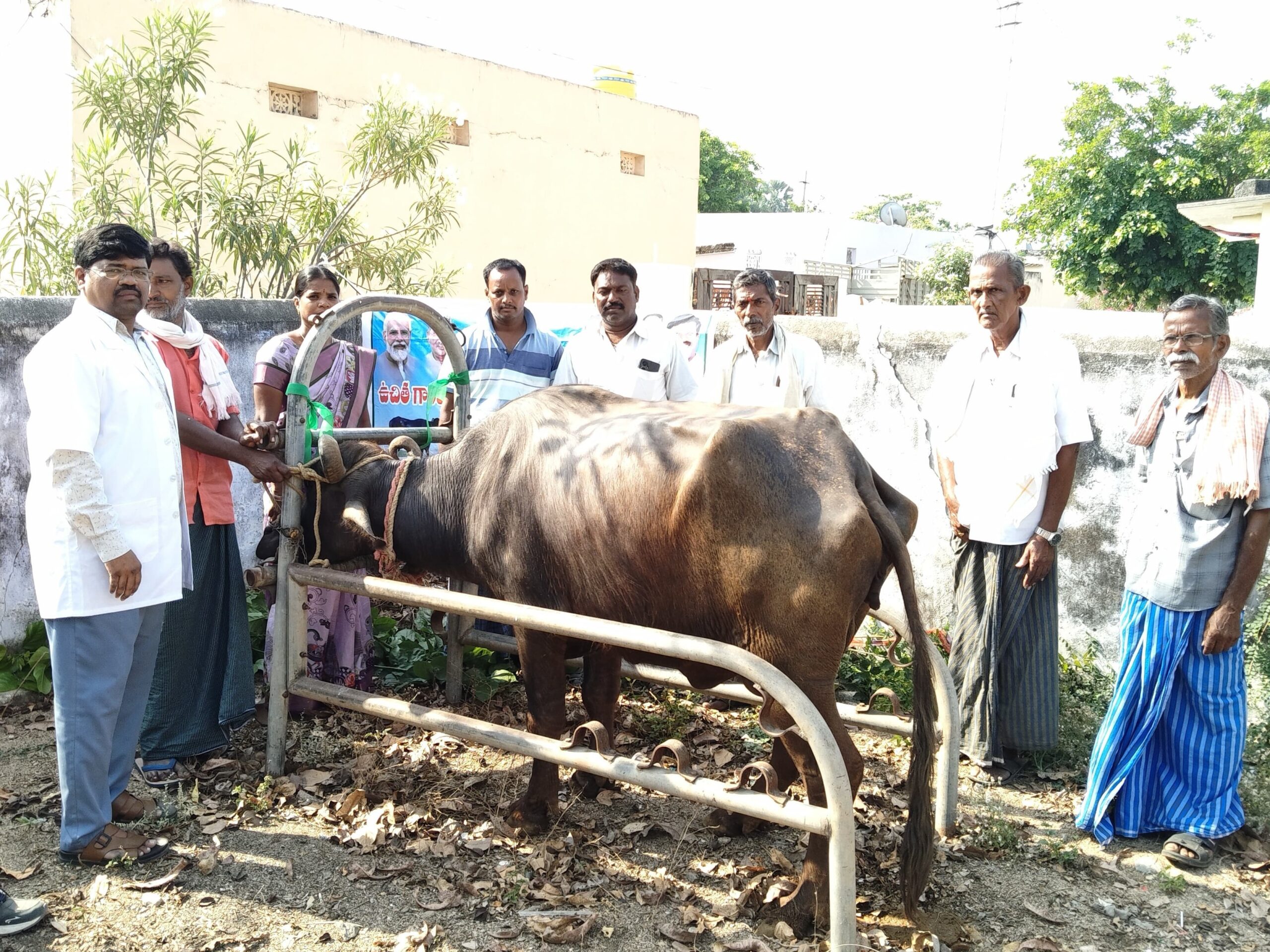 వింబావిలో గాలికుంటు వ్యాధి నివారణ టీకాలు