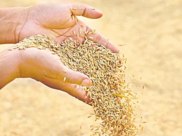 రైతులకు ఇబ్బంది లేకుండా ప్రభుత్వ కొనుగోలు కేంద్రాలు