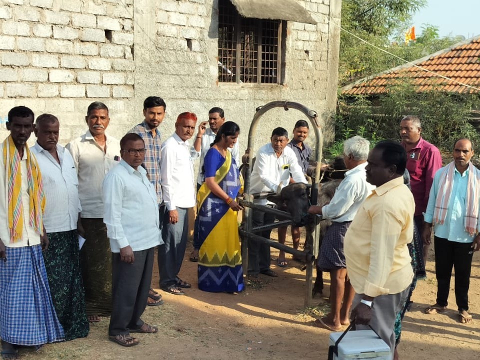 ‘సరియైన పశుపోషణ పద్ధతులు పాటించాలి’