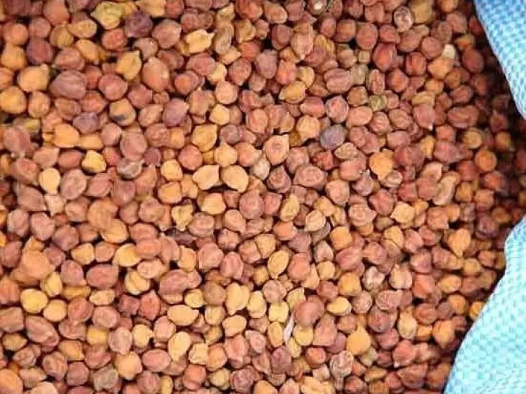 మార్కెట్ యార్డులో శనగ కొనుగోళ్లు నిలిపివేత