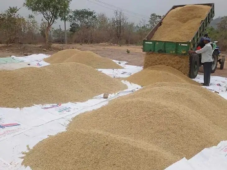 20 వరి ధాన్యం కొనుగోలు కేంద్రాల ఏర్పాటు