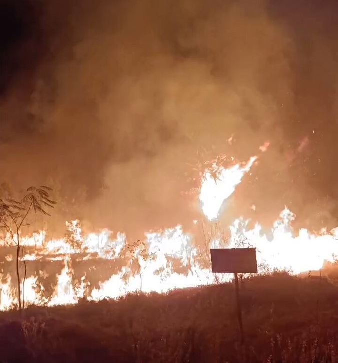 మహానంది నల్లమల అడవుల్లో కార్చిచ్చు