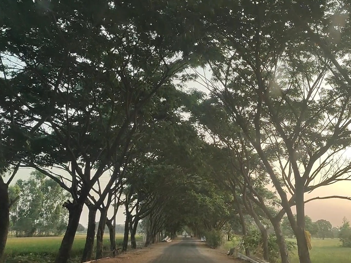 కనువిందు చేస్తున్న పచ్చని ప్రకృతి సౌందర్యం