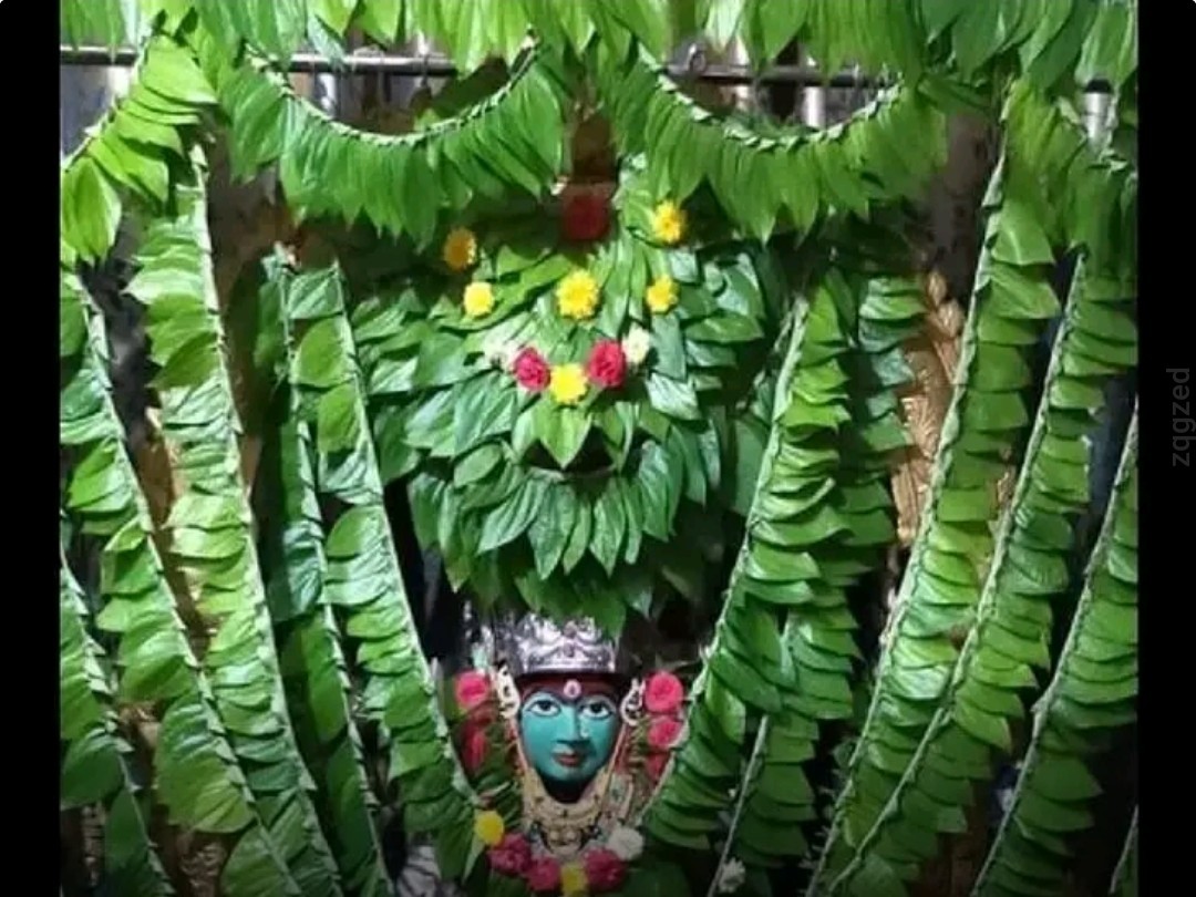 తమలపాకుల అలంకరణలో రేణుక ఎల్లమ్మ దర్శనం