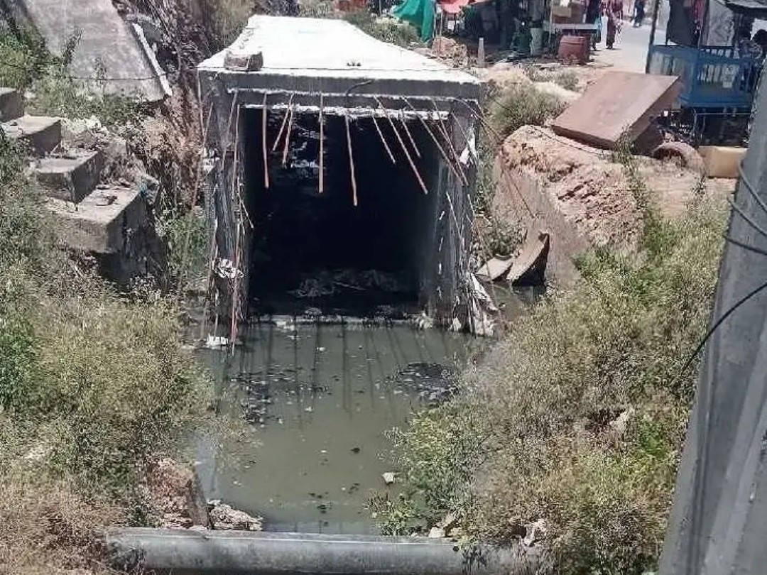 కొడంగల్‌లో దోమల దండయాత్ర..!